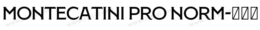 Montecatini Pro Norm字体转换